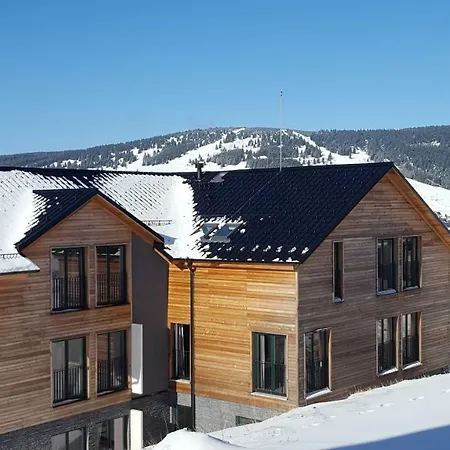 Apartman 5 Klinovec * Loucna pod Klinovcem
